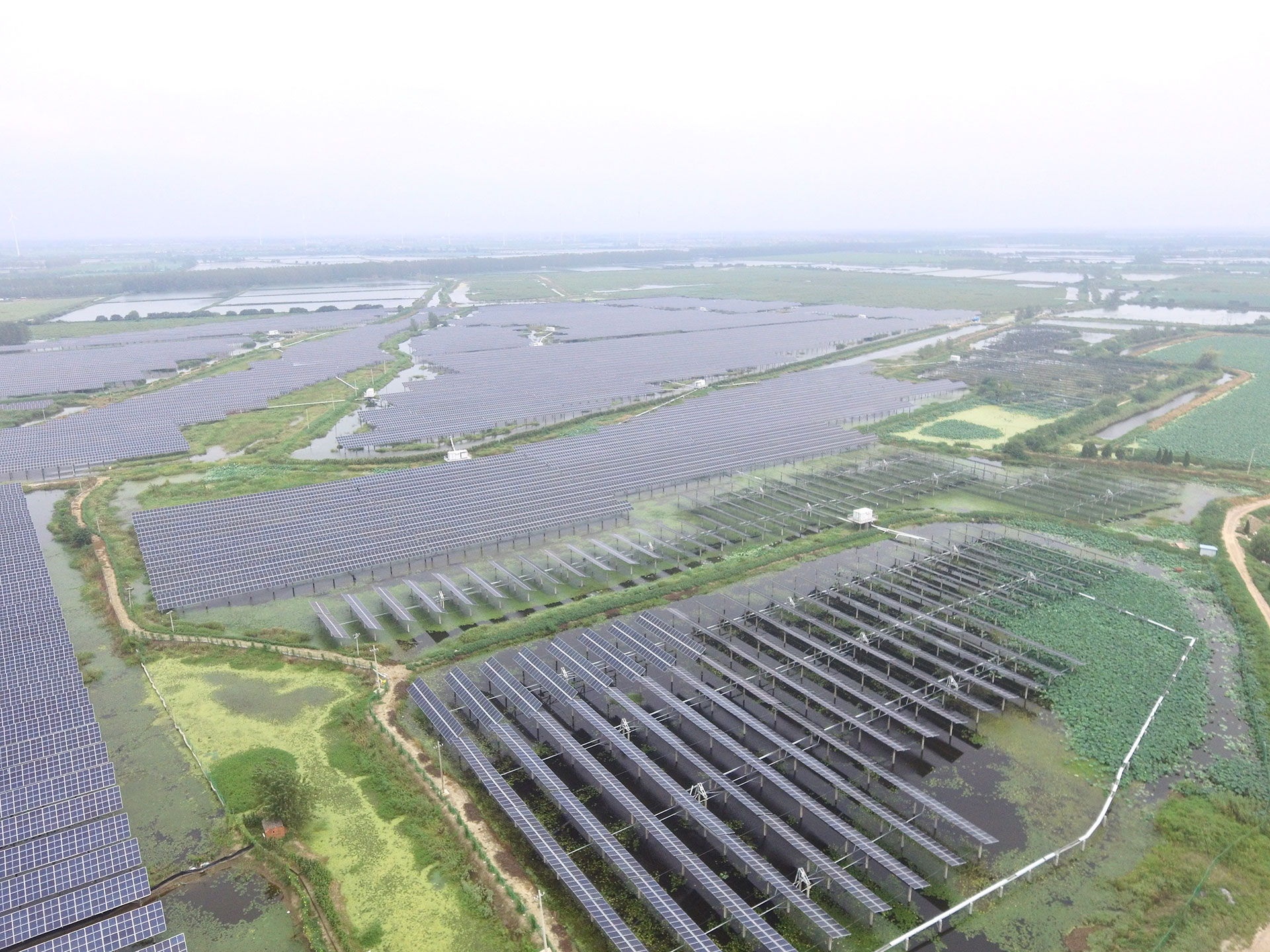 #2 100 MW Project at the Top Runner PV Power Generation Application Base of www@ in Baoying, Yangzhou, Jiangsu Province